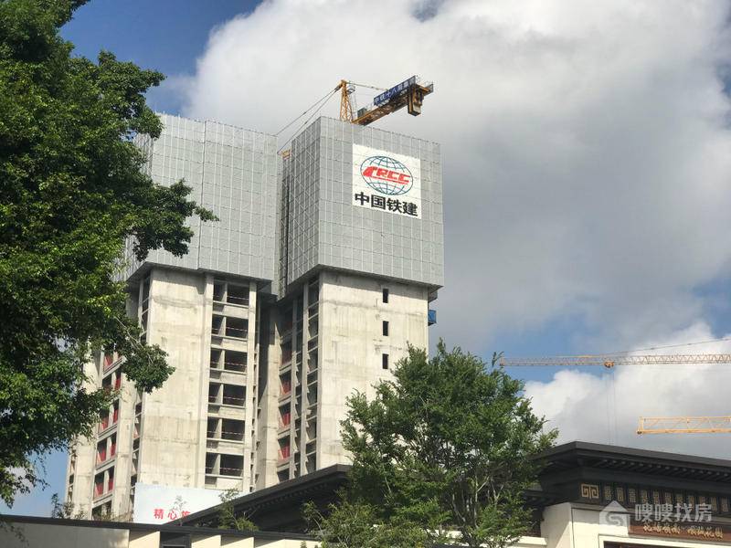 中国铁建·花语岭南